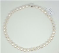Collar Mazzucato Gioielli Mujer in Perlas Perla 25P3 - 25P3